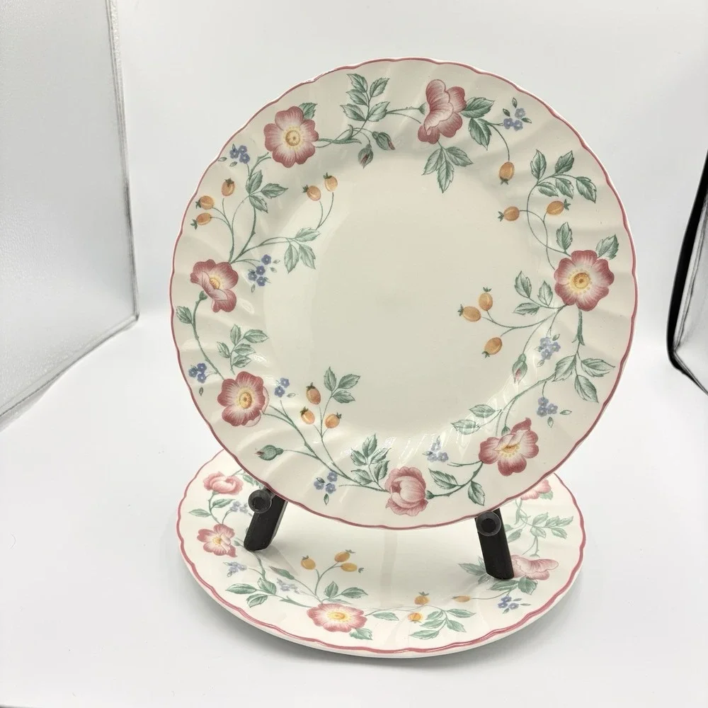 Churchill Staffordshire‎ Set of 2 Briar Rose Ironstone Floral 10